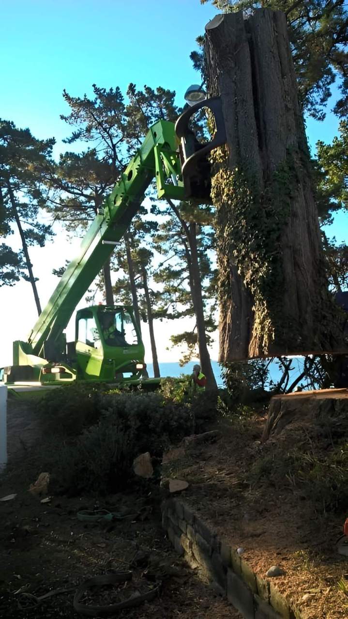 élagueur-grimpeur Quimper