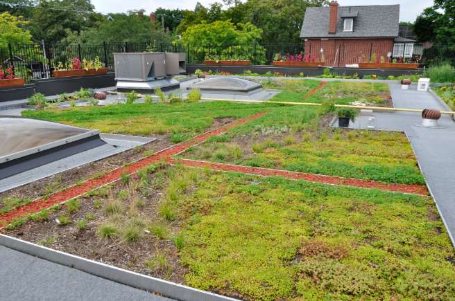 Jardin sans entretien Quimper