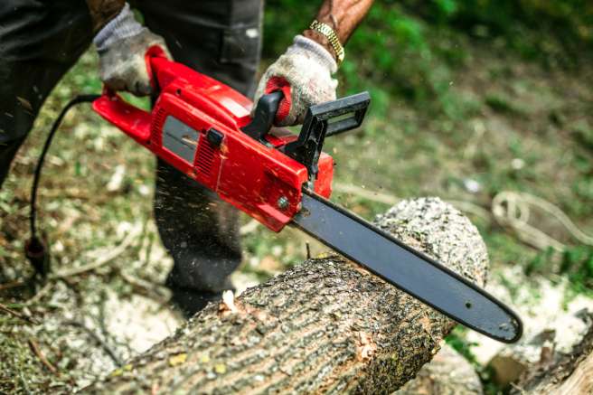 Bon moment pour abattre un arbre Quimper