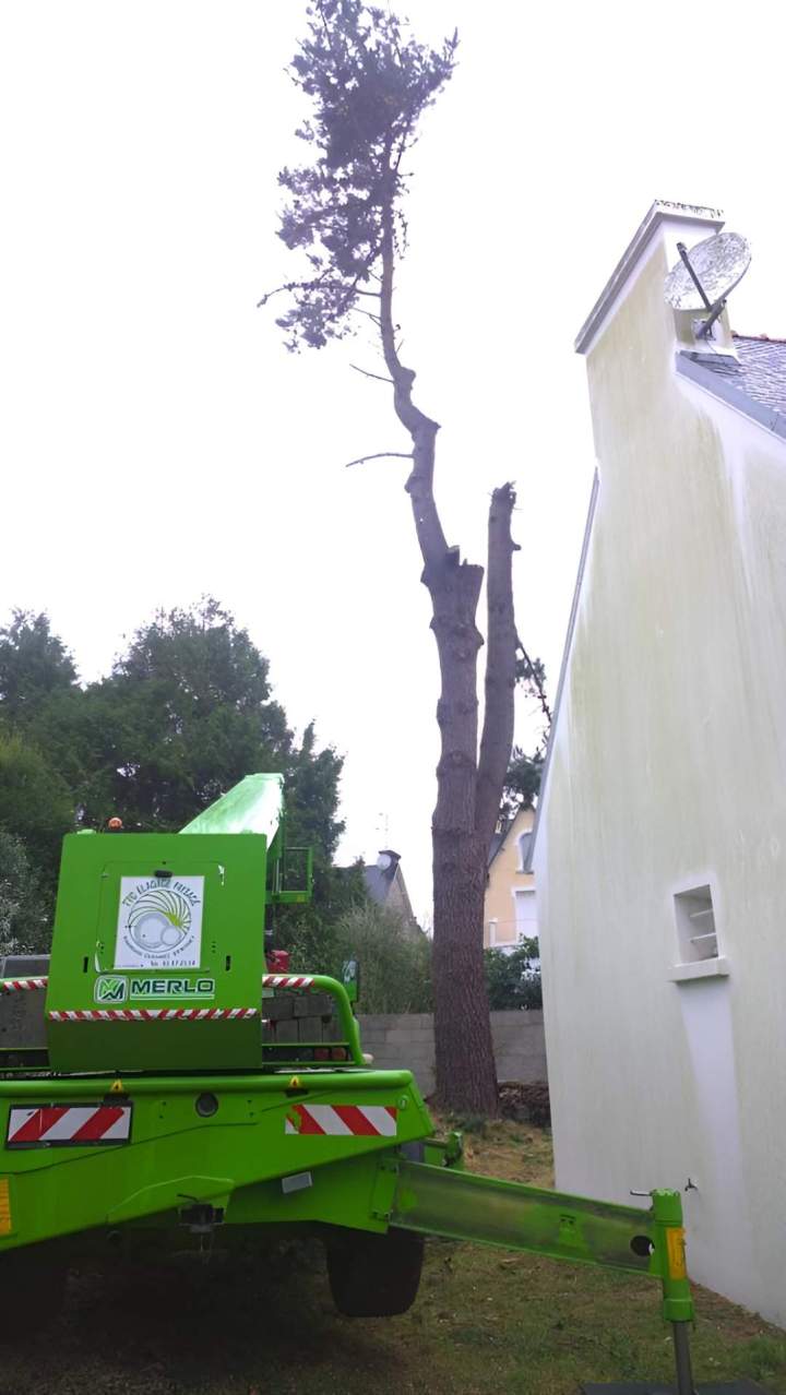 Service élagage d’arbres Quimper