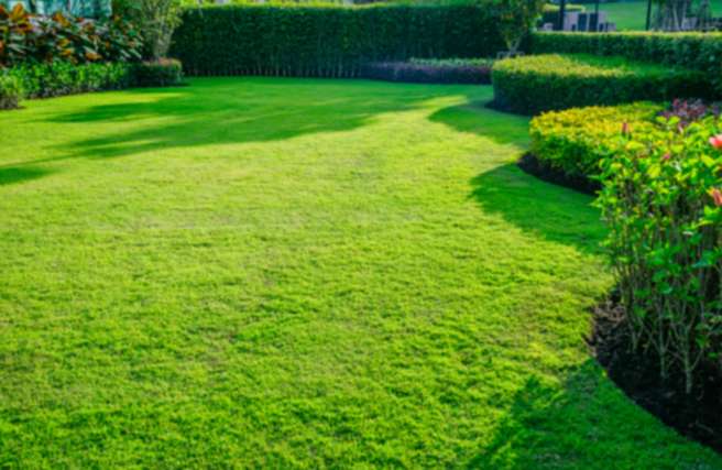 Jardinier Quimper