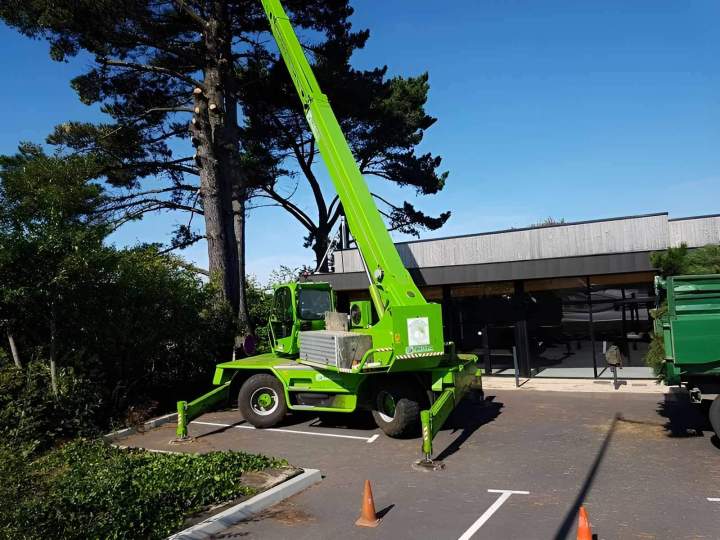 Service élagage d’arbres Quimper