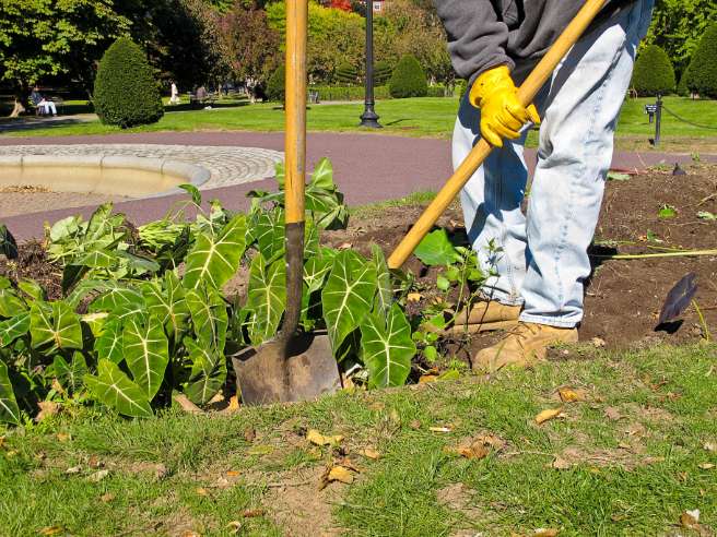 Jardinier paysagiste Quimper