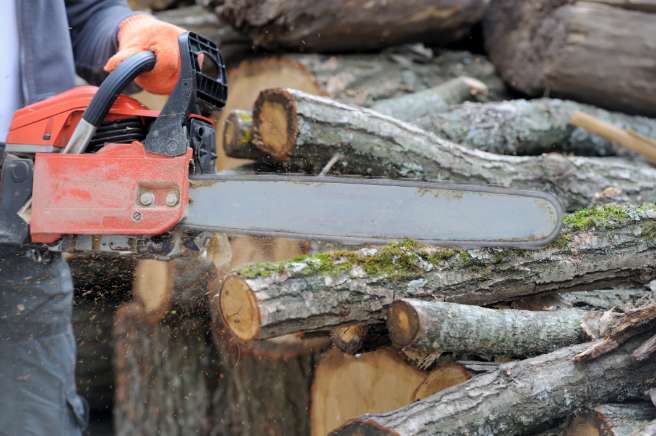 Entreprise d'abattage d'arbres Quimper