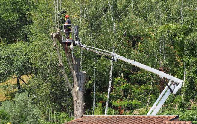 Travaux d’élagage à Quimper