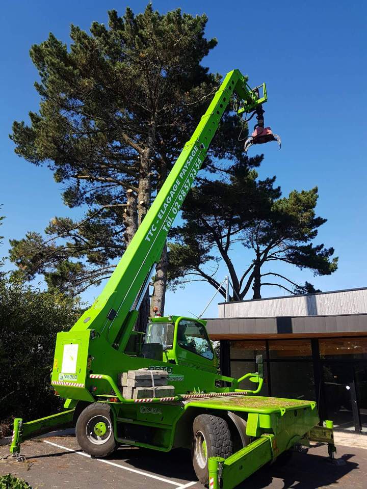 Élagueur-grimpeur Quimper