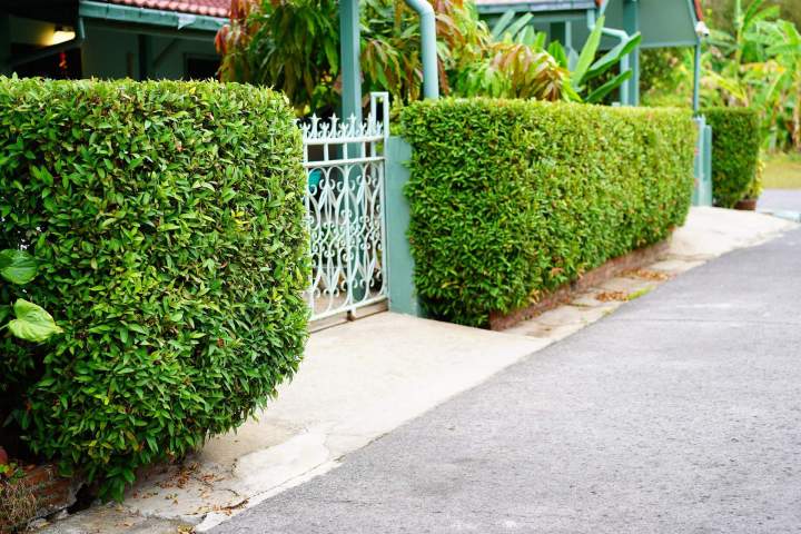 shutterstock 1703476759 fce4